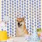 2-Pack Blue Dog Paw Foil Fringe Curtains 3.3x6.6ft Birthday Party Backdrop Decorations